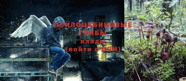 первитин Горняк