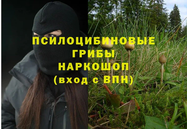 а пвп мука Арсеньев