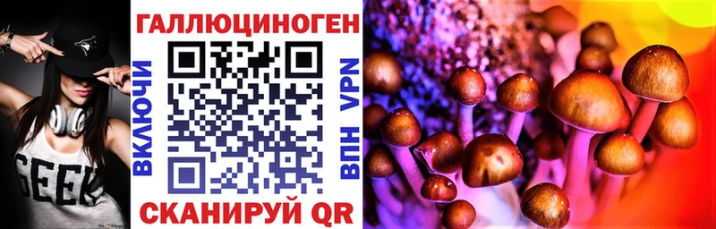 Псилоцибиновые грибы Cubensis  Купить где  Анива 