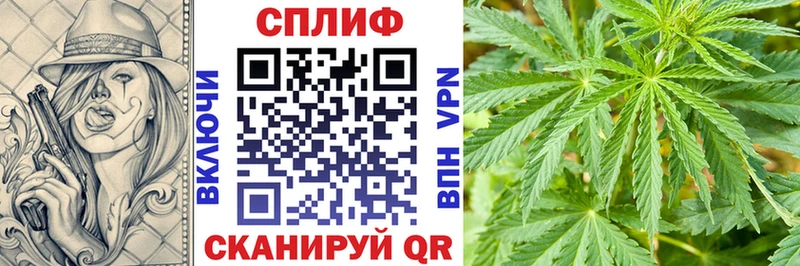 Марихуана SATIVA & INDICA  Купить закладки  Анива 